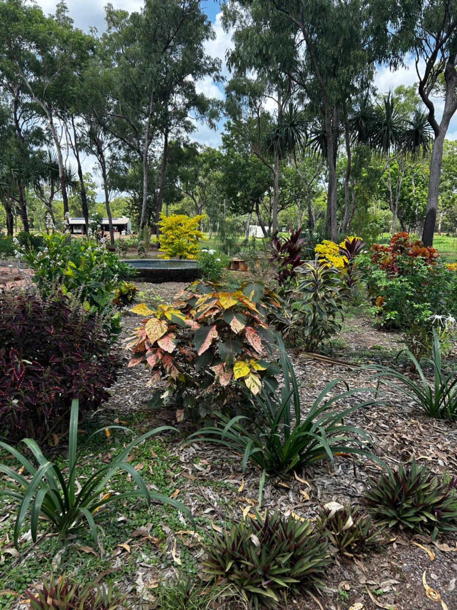 Litchfield Tropical Stay Batchelor Exteriör bild