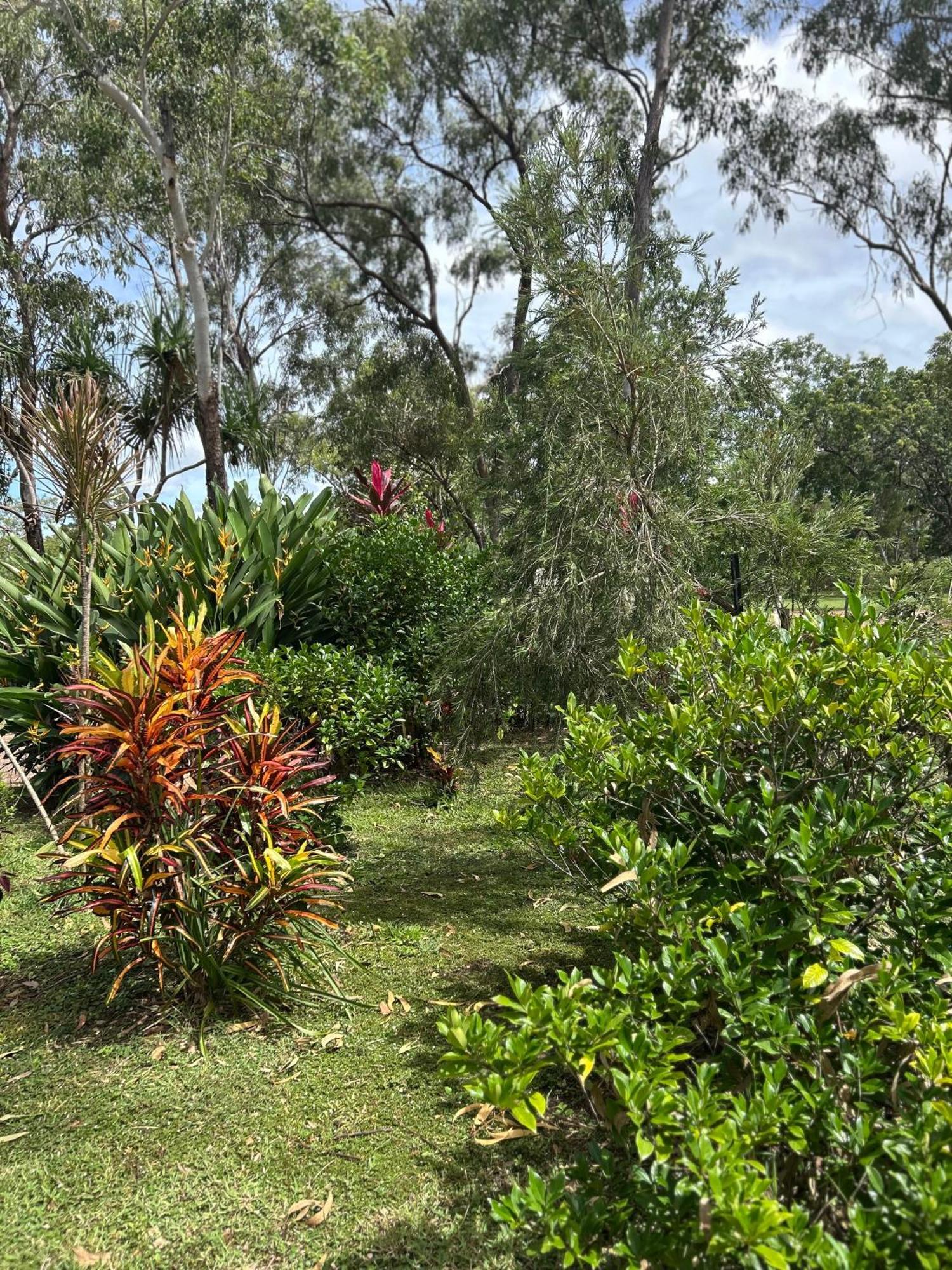 Litchfield Tropical Stay Batchelor Exteriör bild